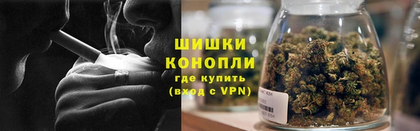 прущие грибы Белокуриха
