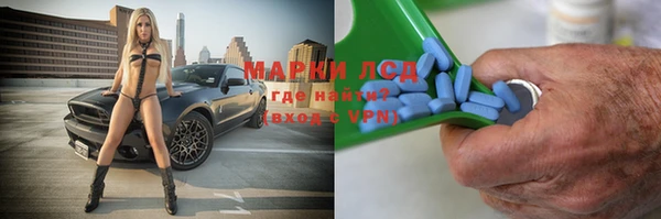 прущие грибы Белокуриха