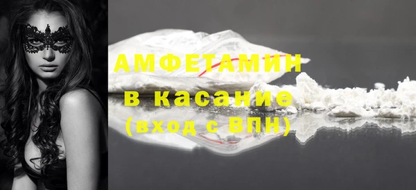 прущие грибы Белокуриха